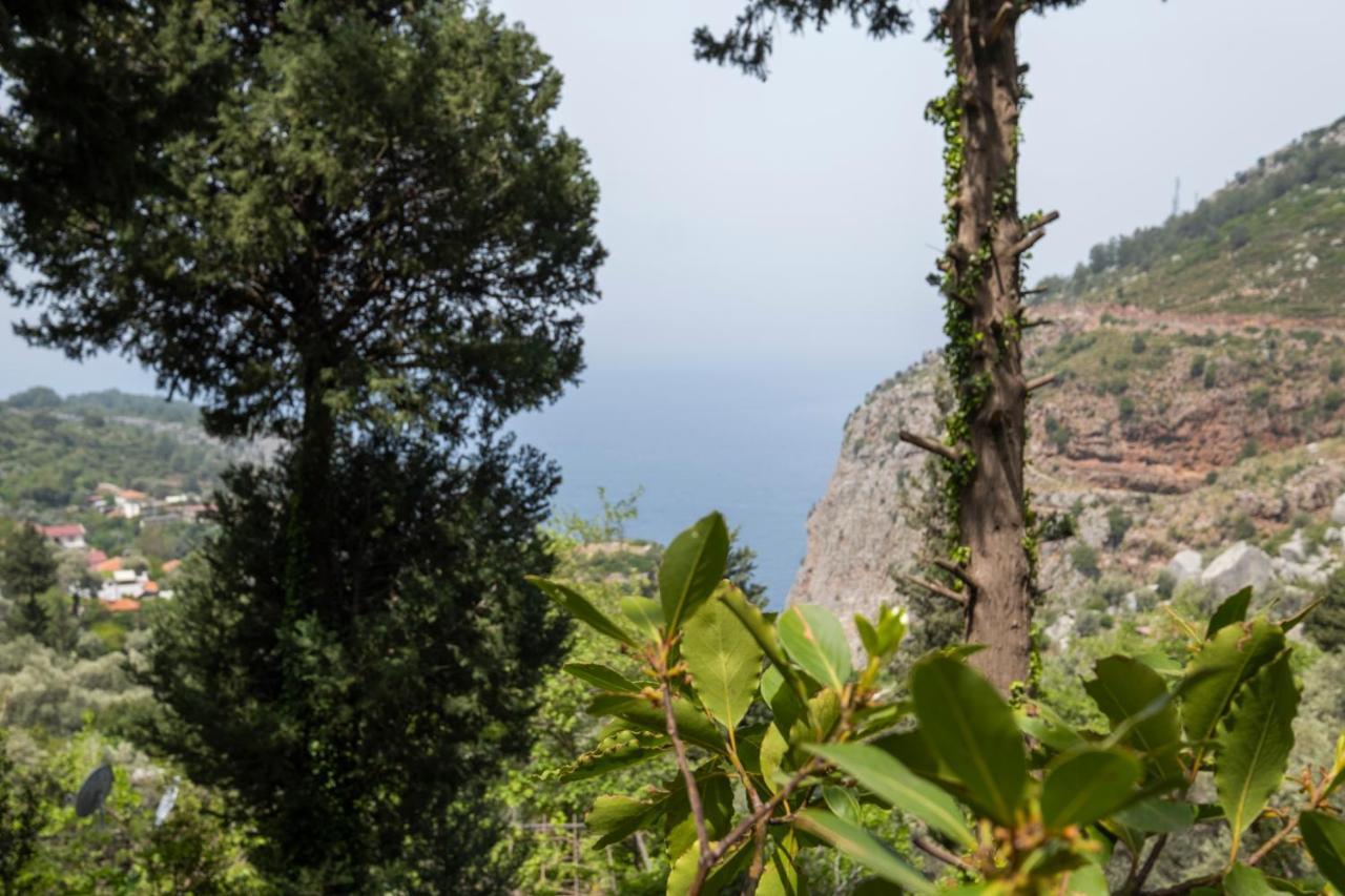 Hotel Watermill & Faralya Fethiye